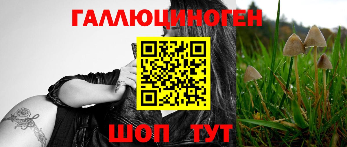 Галлюциногенные грибы мицелий Жигулёвск